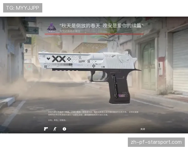 CS2皮肤涂装学：如何通过印花搭配让几十元的枪变高大上🏮（302 ）